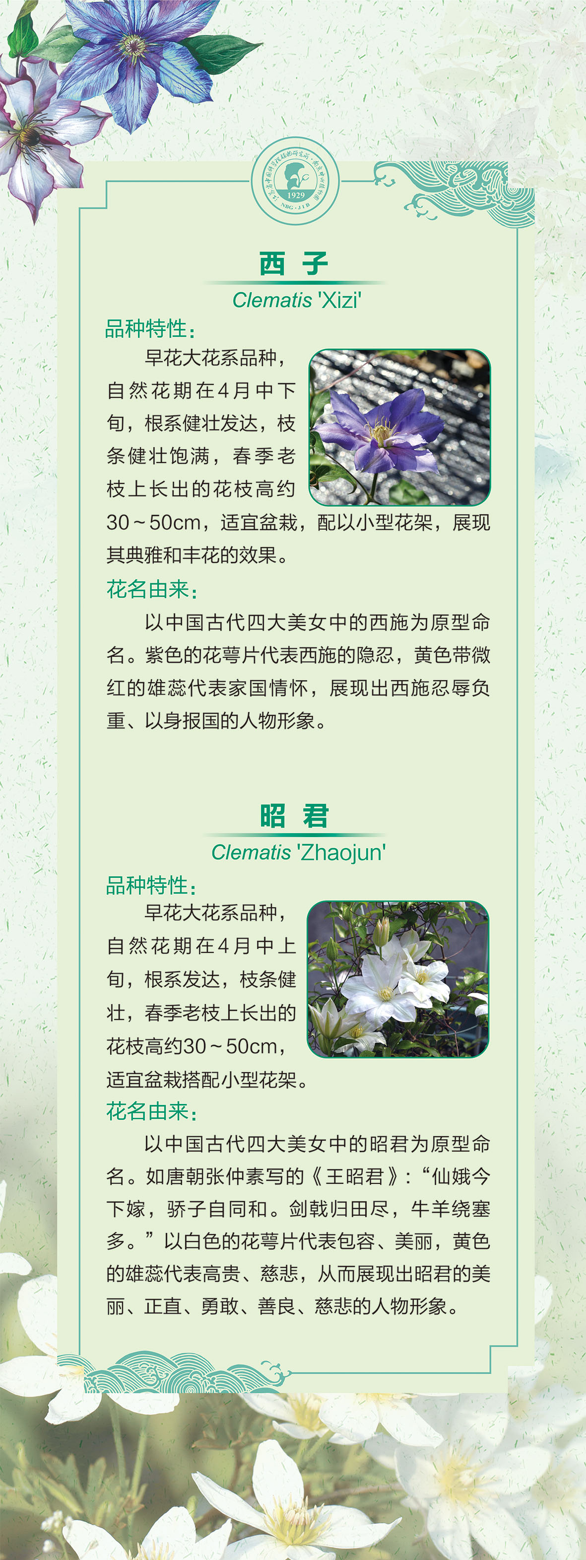 12展板60 乘以159.51cm-3-02.jpg