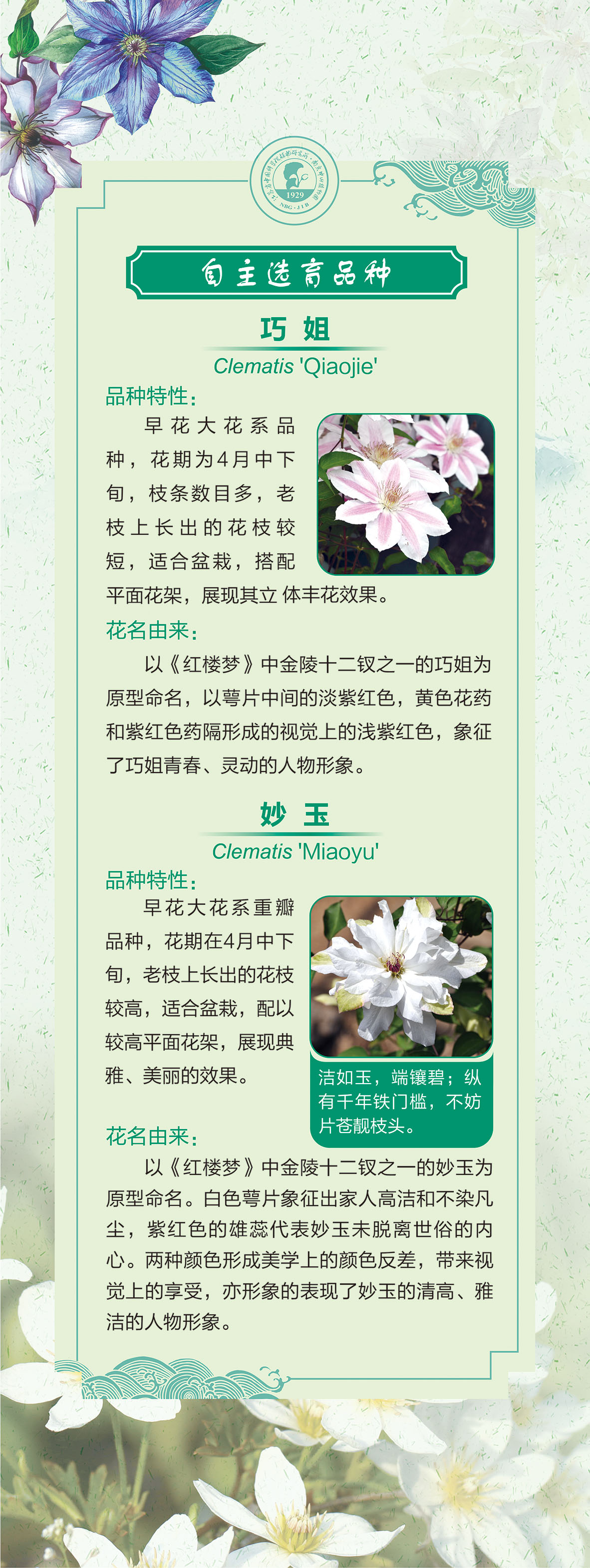 10展板60 乘以159.51 -2cm-04.jpg