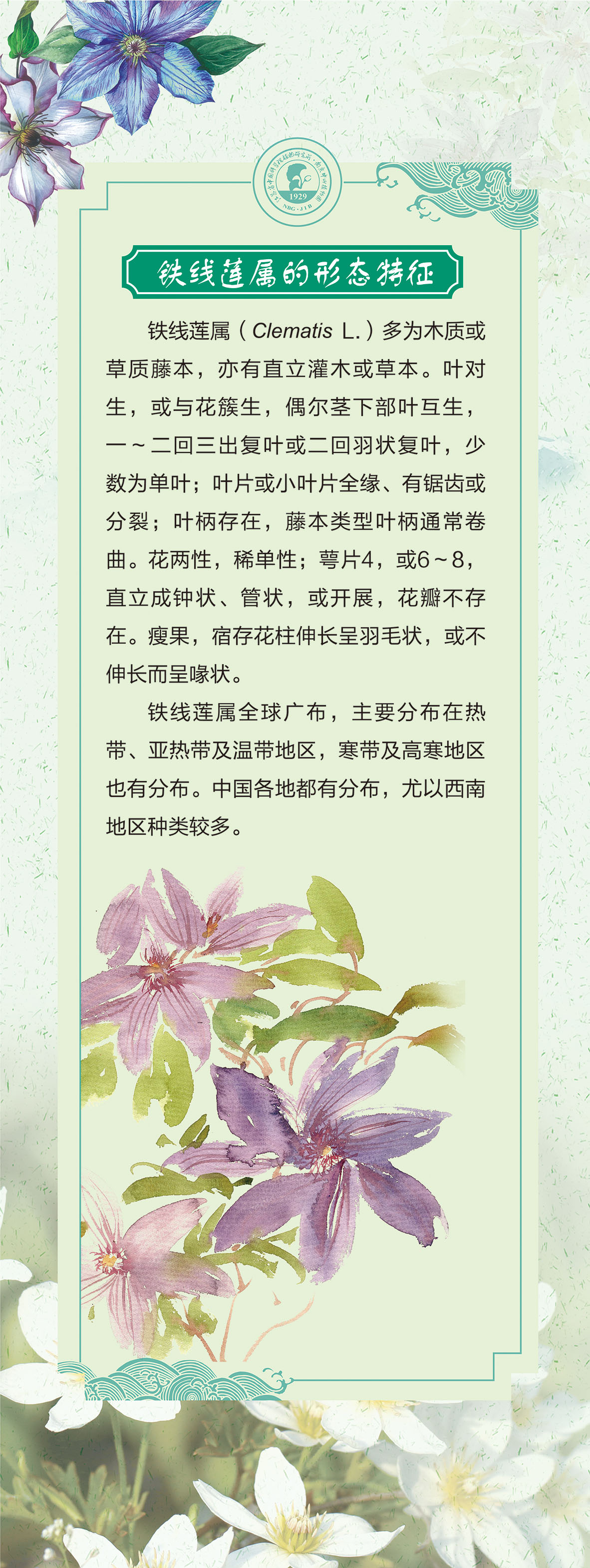 02展板60 乘以159.51cm-1-01.jpg