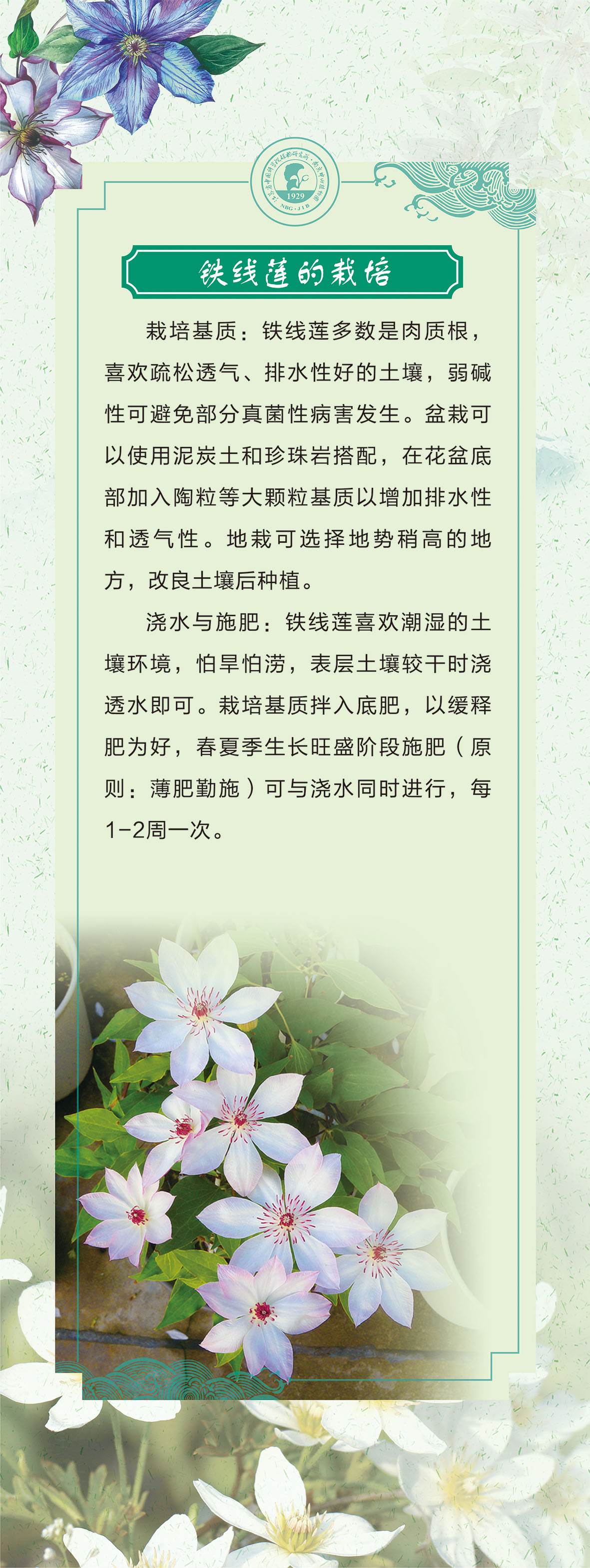 04展板60 乘以159.51cm-1-04.jpg