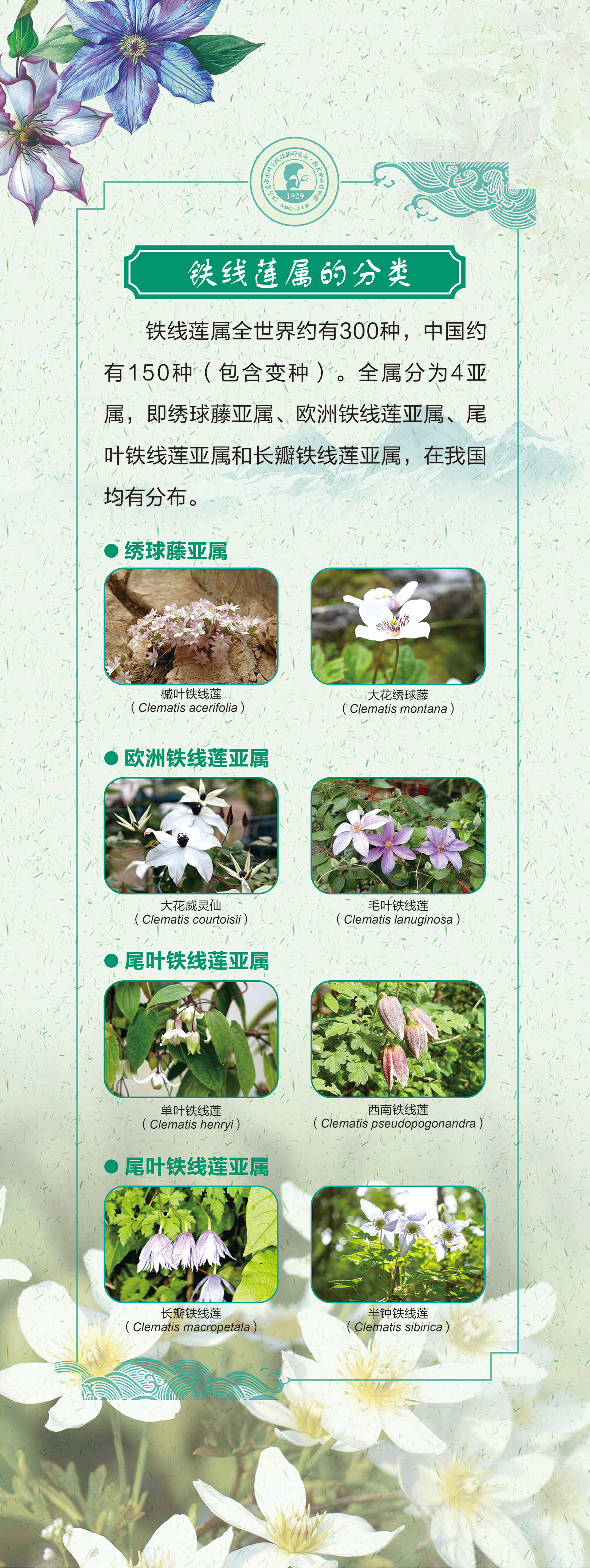 03展板60 乘以159.51cm-1-03.jpg