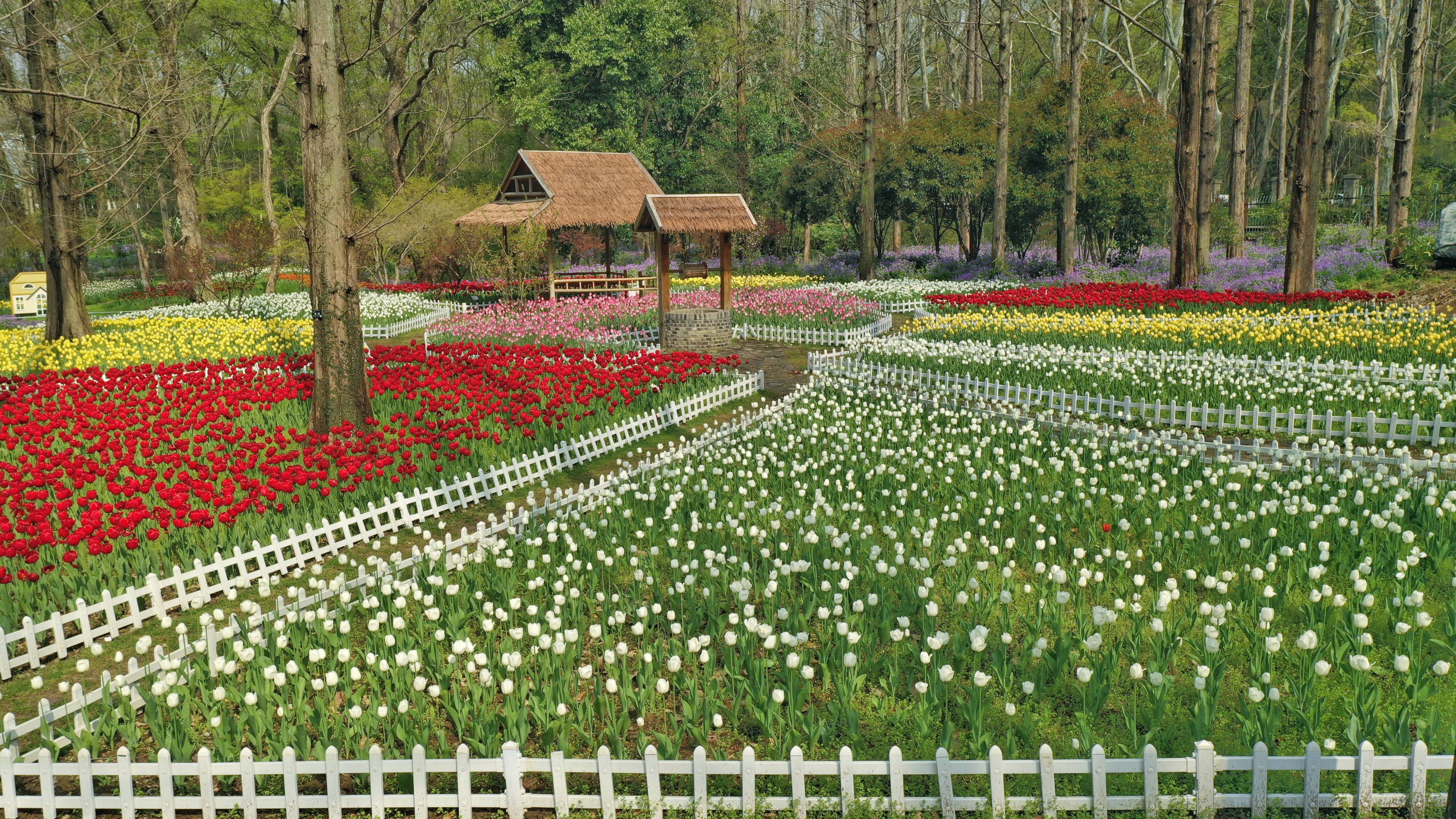 欧洲花卉展 (12)-01.jpeg