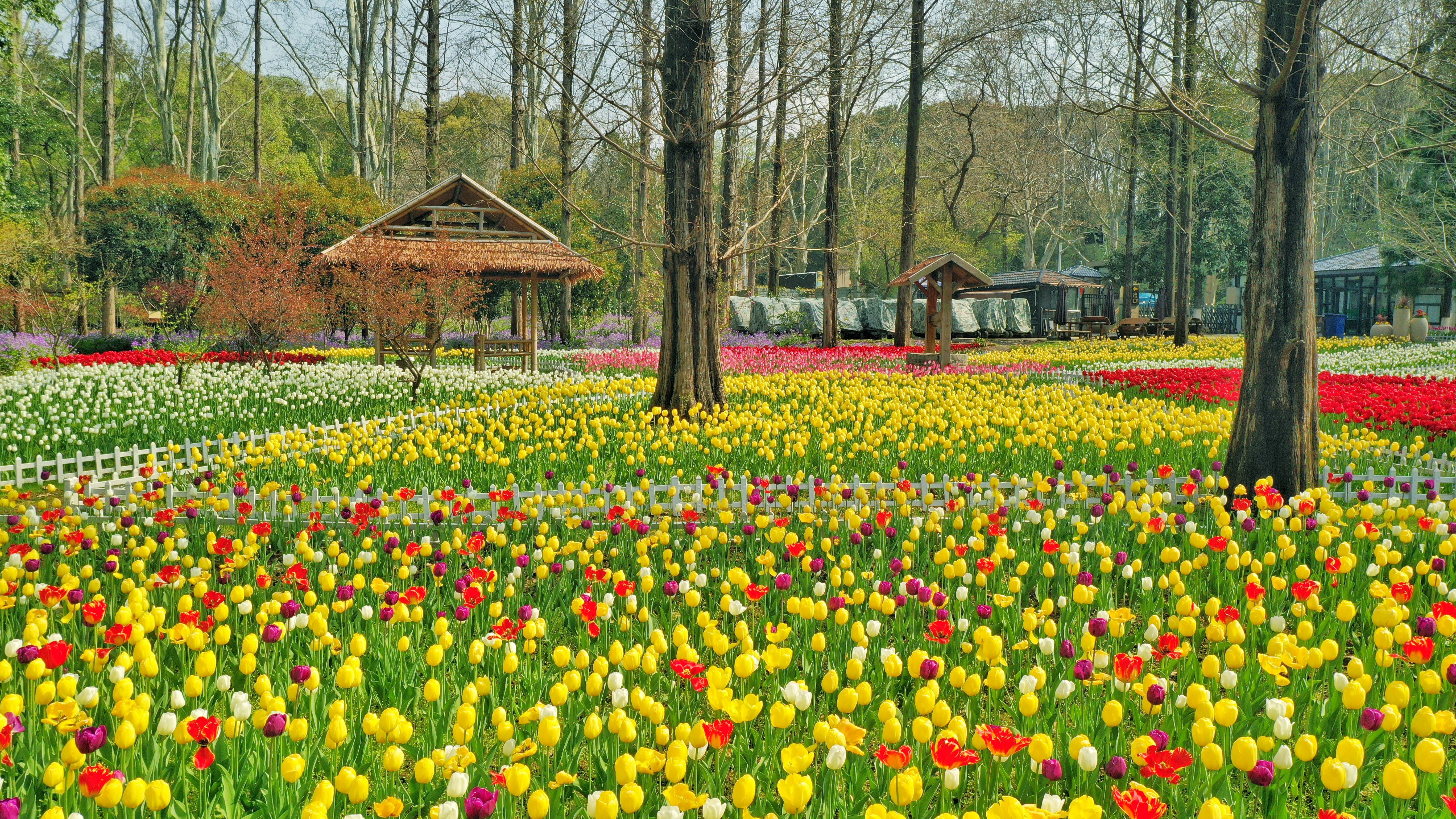 欧洲花卉展 (8)-01.jpeg