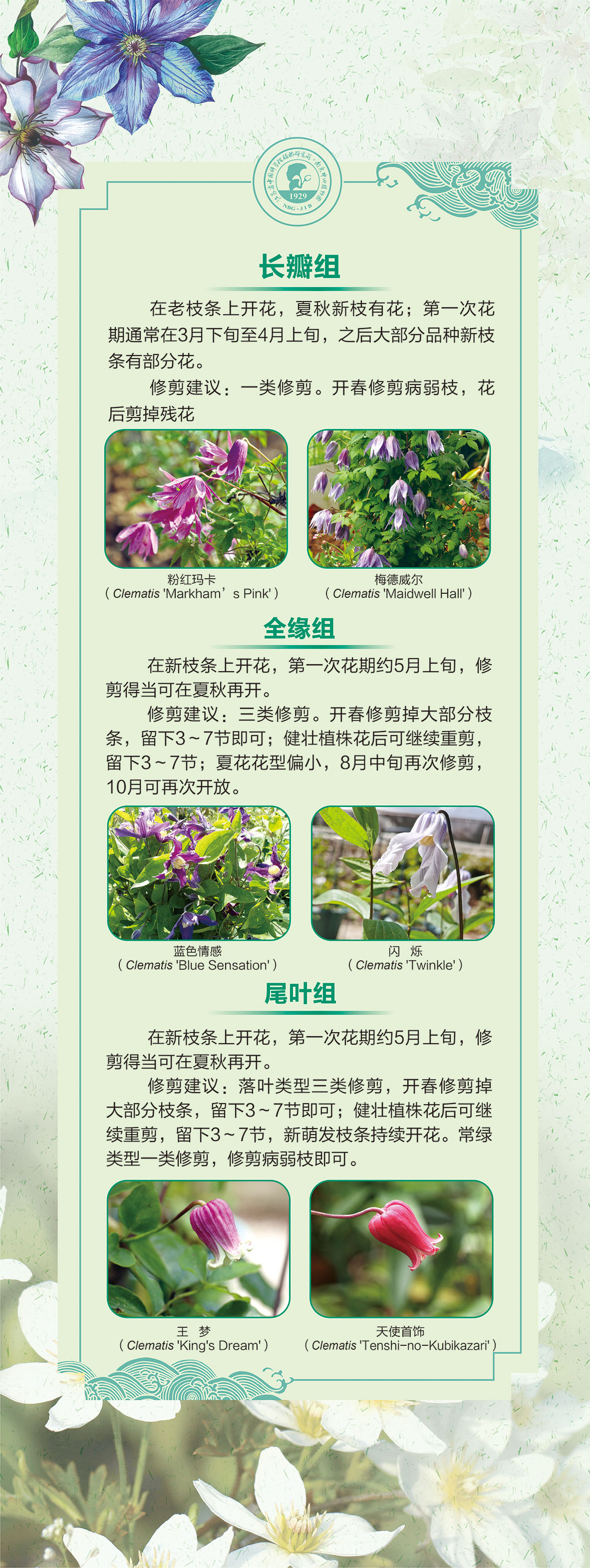 08展板60 乘以159.51 -2cm-01.jpg