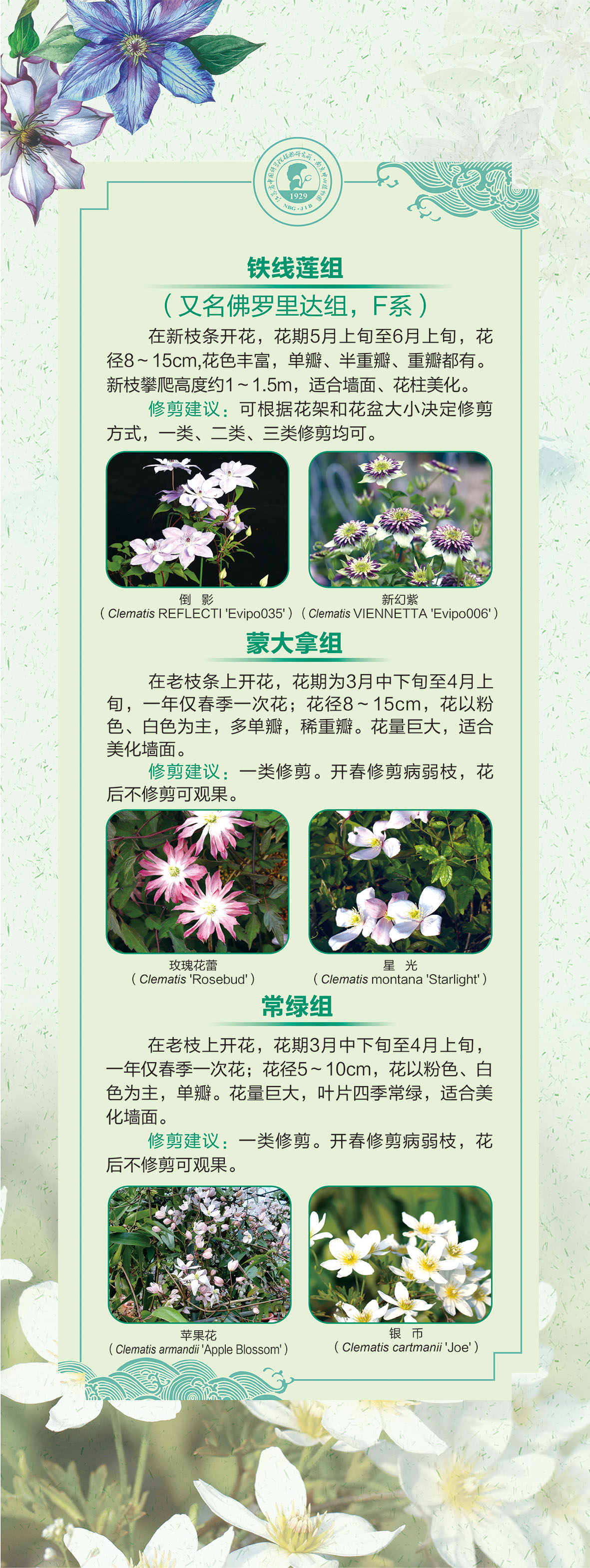 07展板60 乘以159.51 -2cm-02.jpg