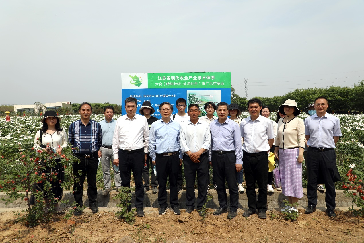 植物生态与环境研究中心举办&ldquo;油用牡丹种植示范现场观摩会&rdquo;
