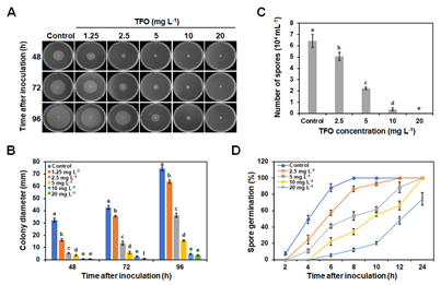 永盈彩票在楝叶吴萸挥发油抗卵菌机制研究方面取得阶段性进展
