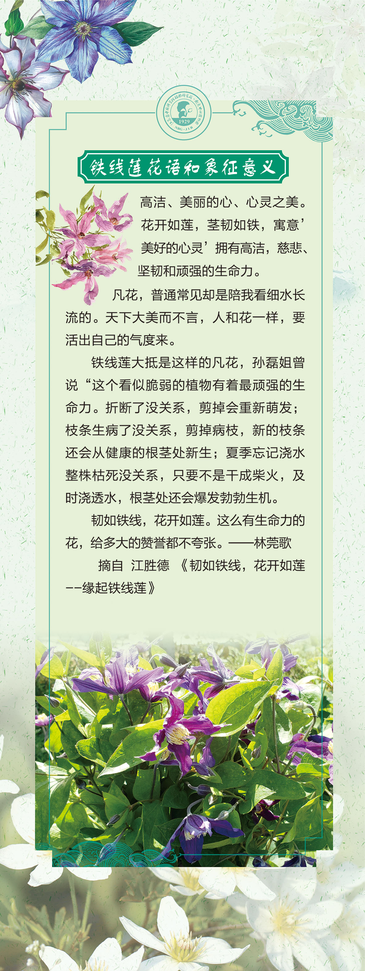 15展板60 乘以159.51cm-3-04.jpg