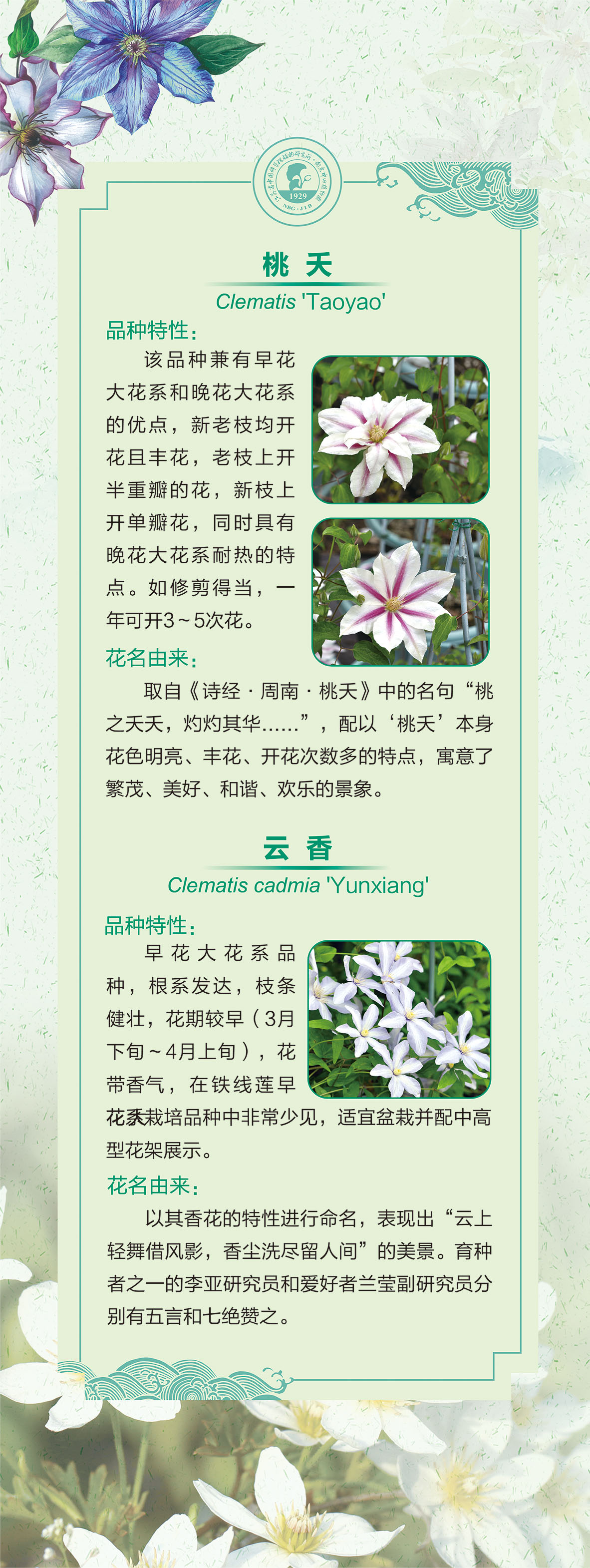 13展板60 乘以159.51cm-3-01.jpg