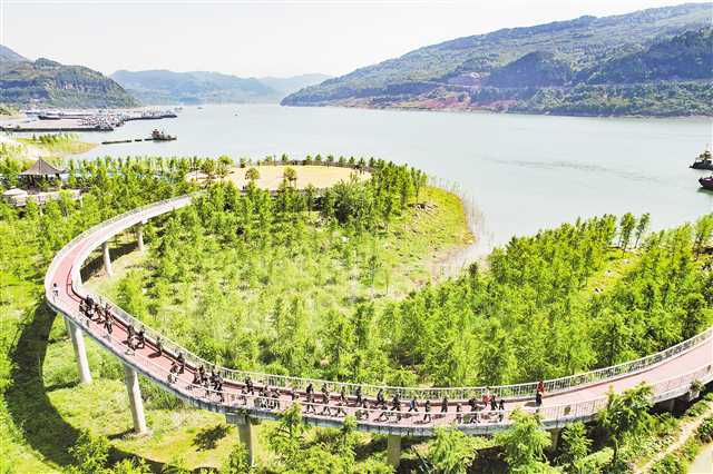 永盈彩票选育中山杉破解消落带生态修复治理难题