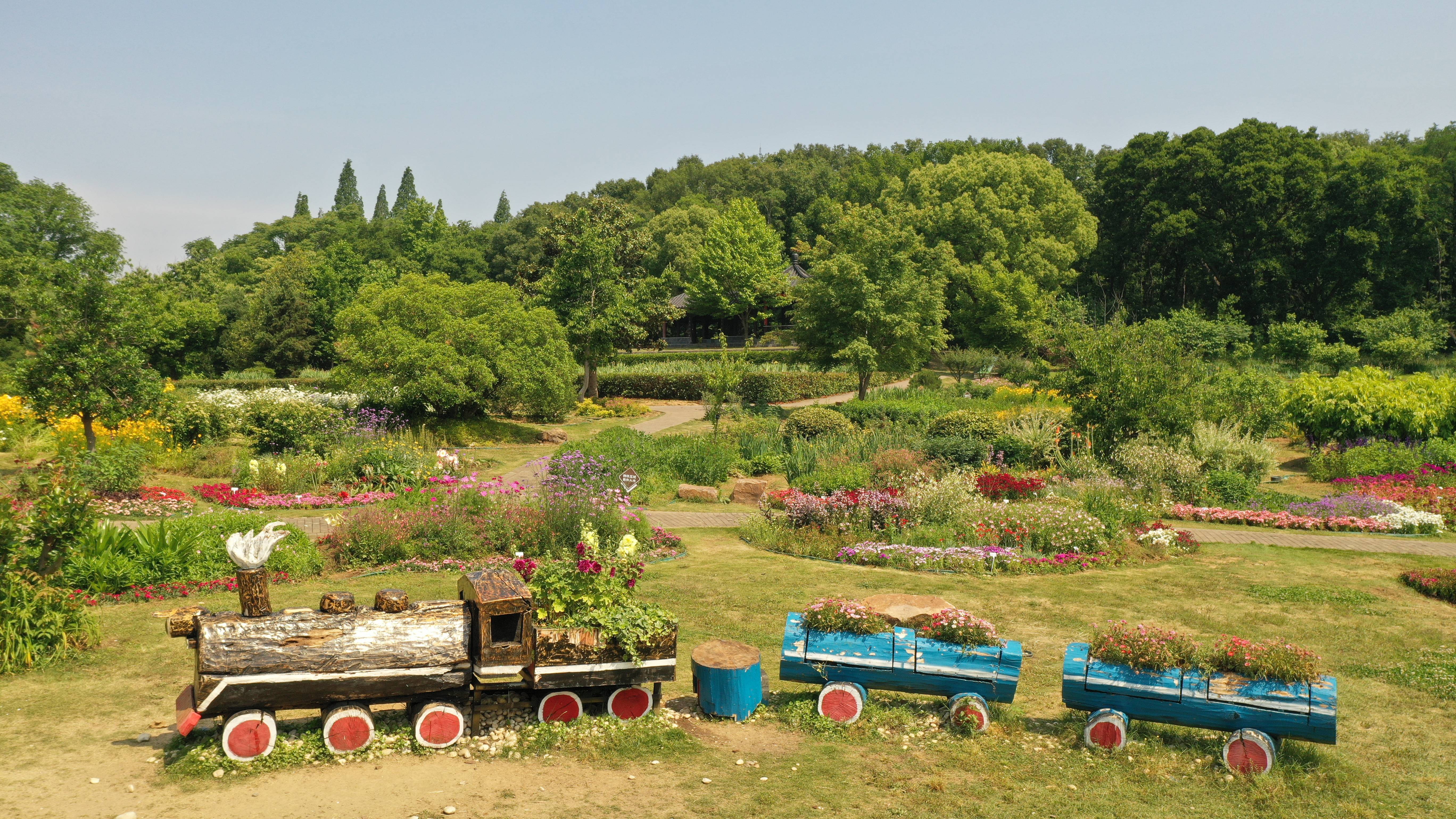球宿根花卉园航拍 (9).JPG