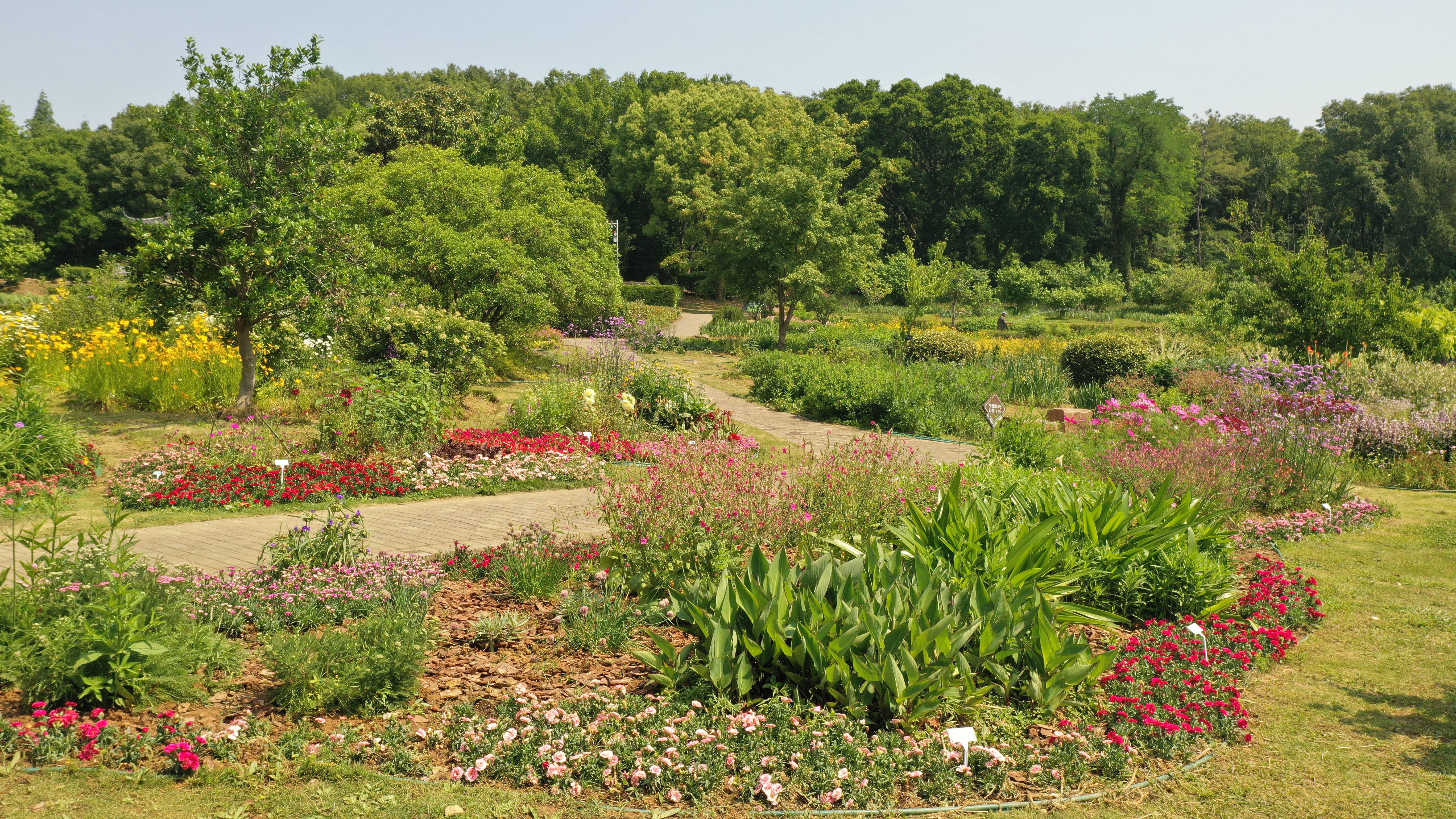 球宿根花卉园航拍 (10).JPG