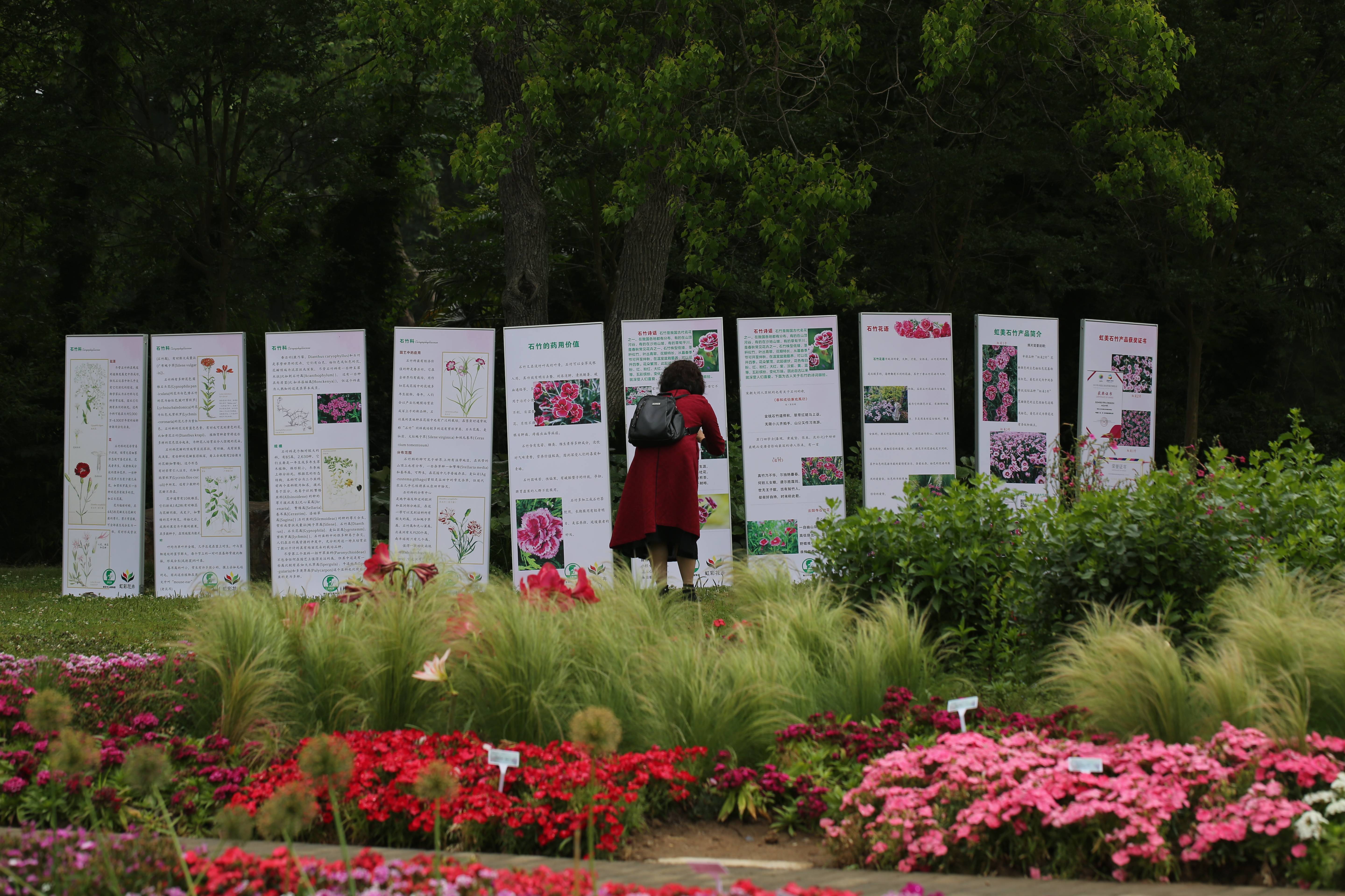 石竹展科普展览.JPG