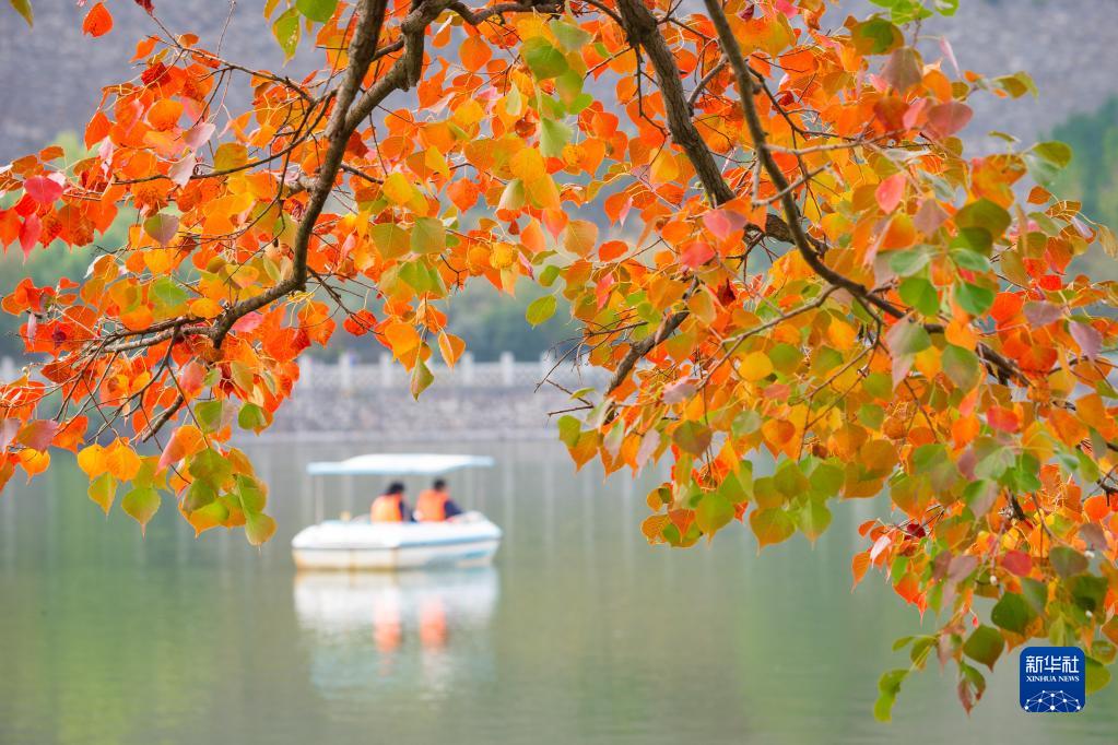 诗意中国&mdash;&mdash;秋色连波，波上寒烟翠