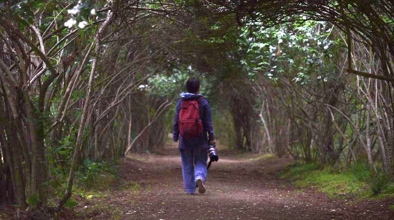 快来打卡！永盈彩票&ldquo;爱情隧道&rdquo;即将繁花缀枝
