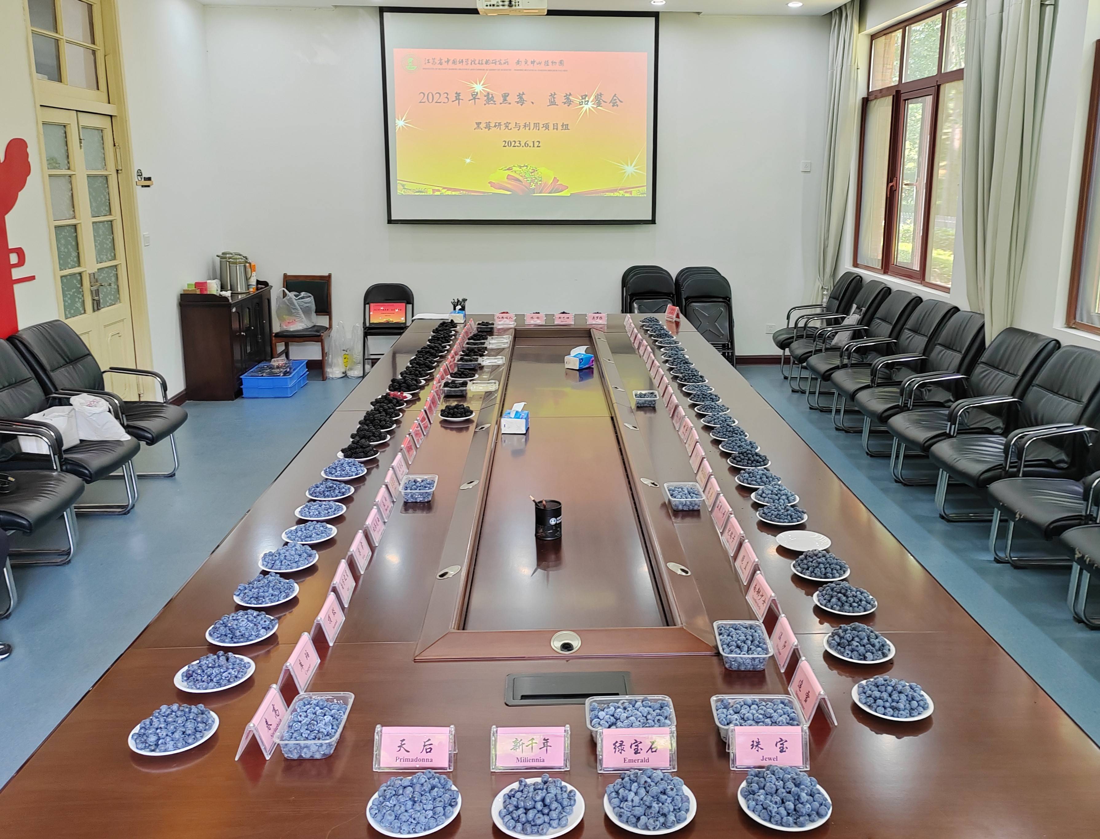 2023年早熟黑莓、蓝莓品鉴会成功举行
