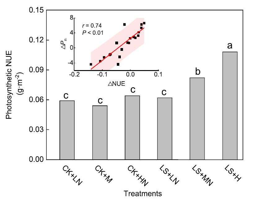 永盈彩票在提高中山杉406耐盐适应性研究方面取得重要进展
