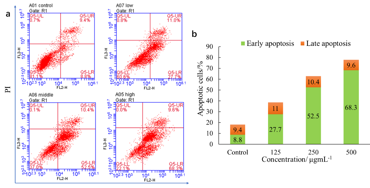 永盈彩票在青梅多酚提制技术及抗肿瘤活性研究中取得重要进展