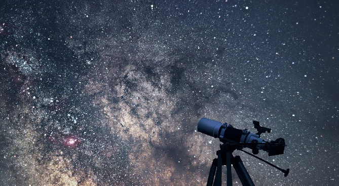 【夜探植物园】永盈彩票夜观遇上露营｜植物园奇妙夜营开始招募啦！