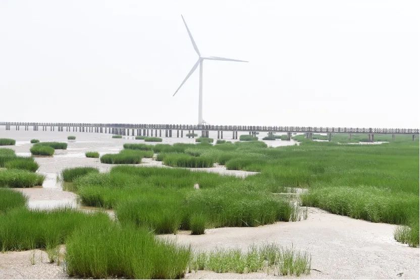 活动招募 | 省林业局X金图 &ldquo;走近科学 探秘自然&rdquo;科普活动