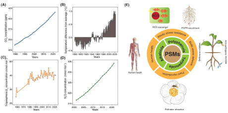 永盈彩票在植物次级代谢响应全球气候变化的模式及潜在机制方面发表高水平综述论文