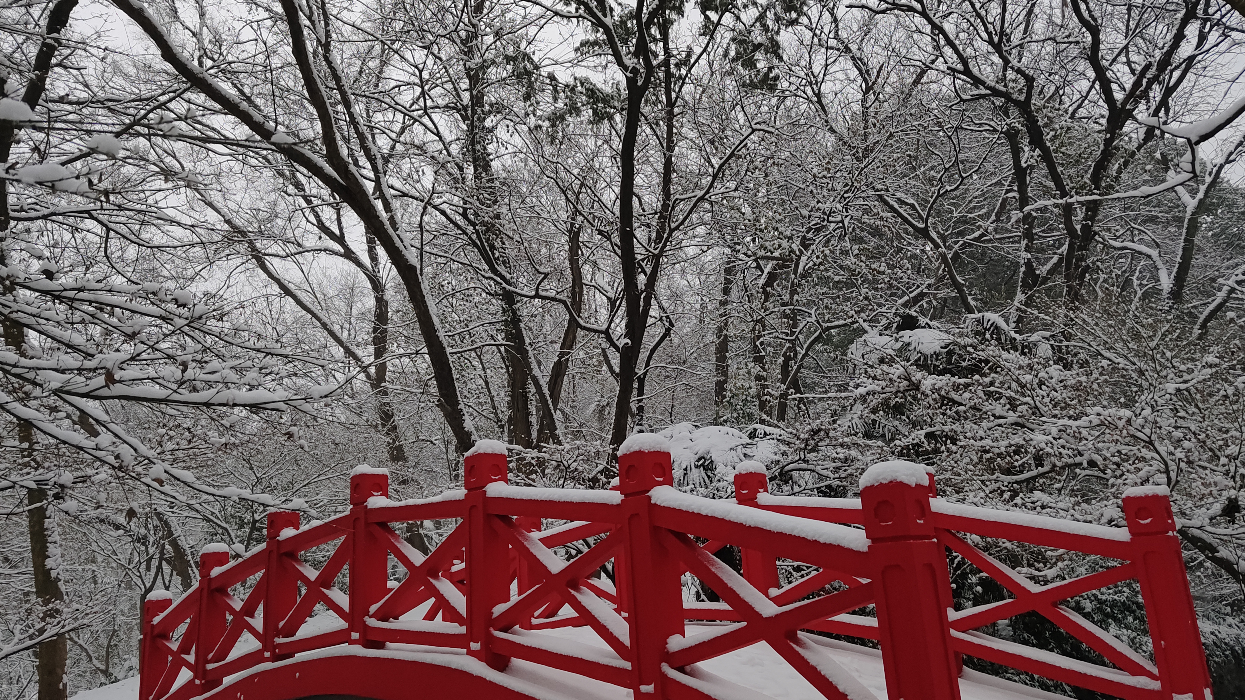 永盈彩票里的&ldquo;银装素裹&rdquo;