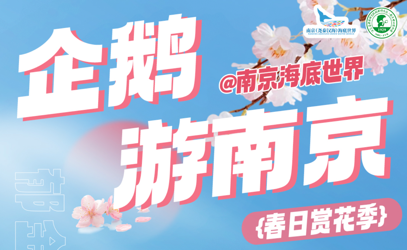 逃学企鹅来永盈彩票赏花了