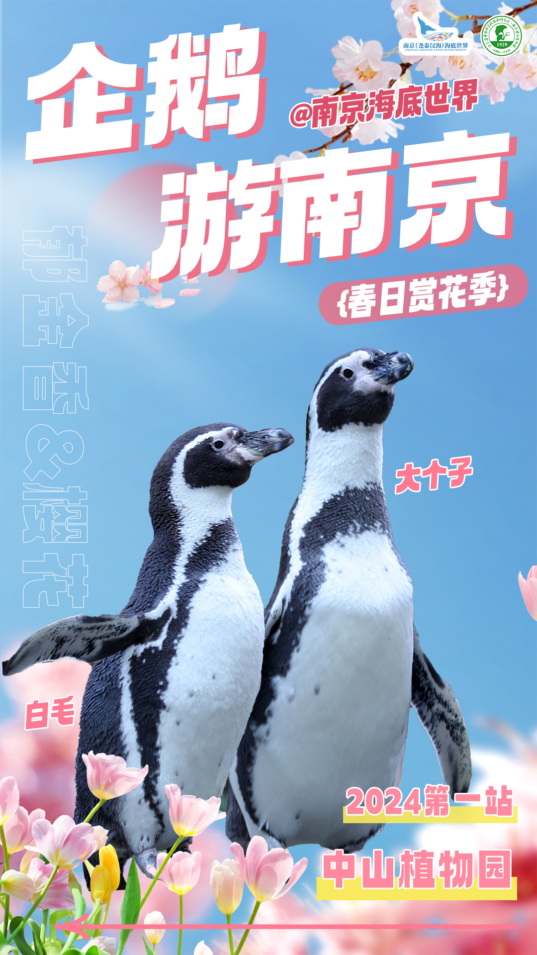 企鹅游园.jpg 企鹅游园.jpg