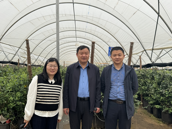 果树研究中心科研人员赴云南参加设施蓝莓会议、引种野生悬钩子