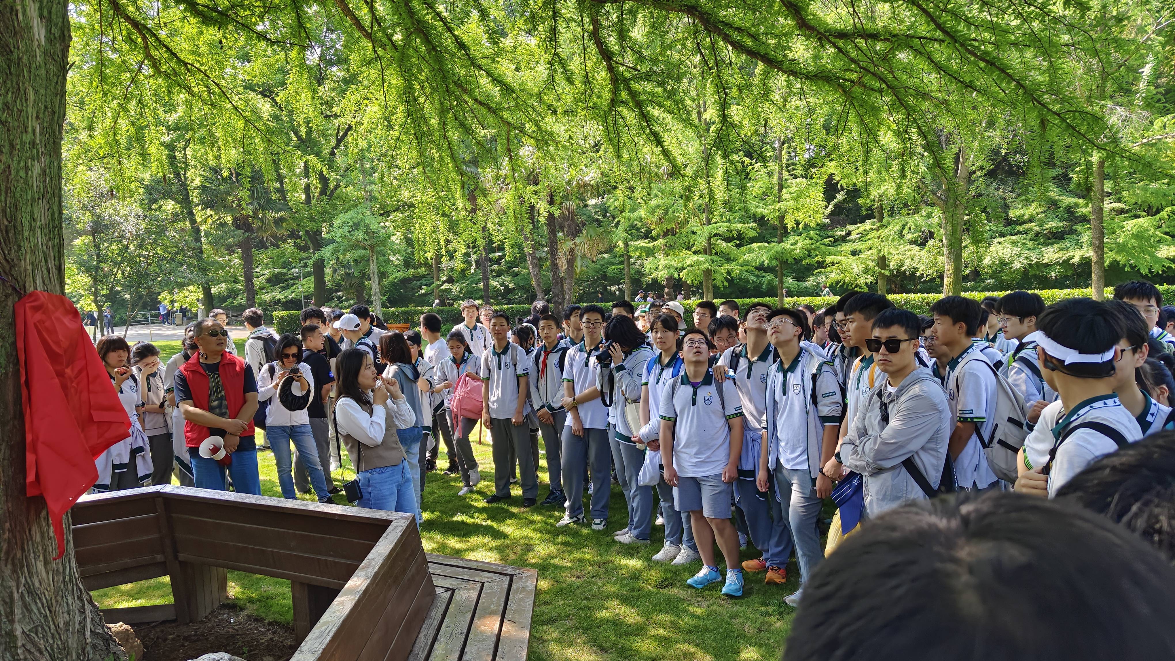 永盈彩票开展墨西哥落羽杉认养活动
