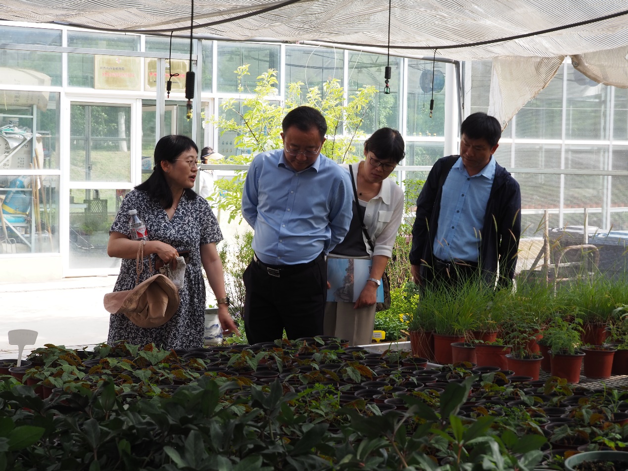 杨天水书记赴陕西调研交流植物园管理与建设