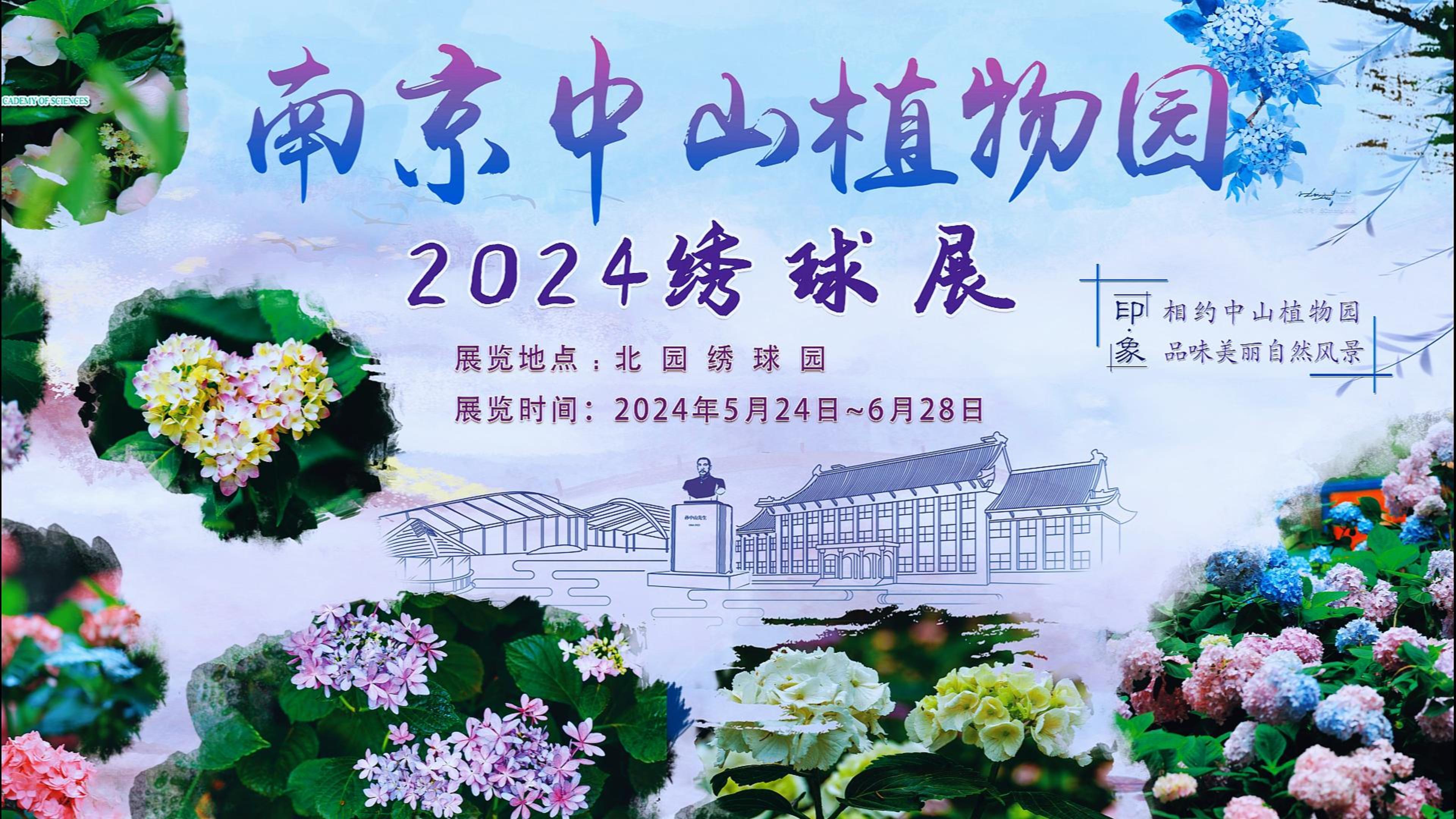 永盈彩票2024年绣球展