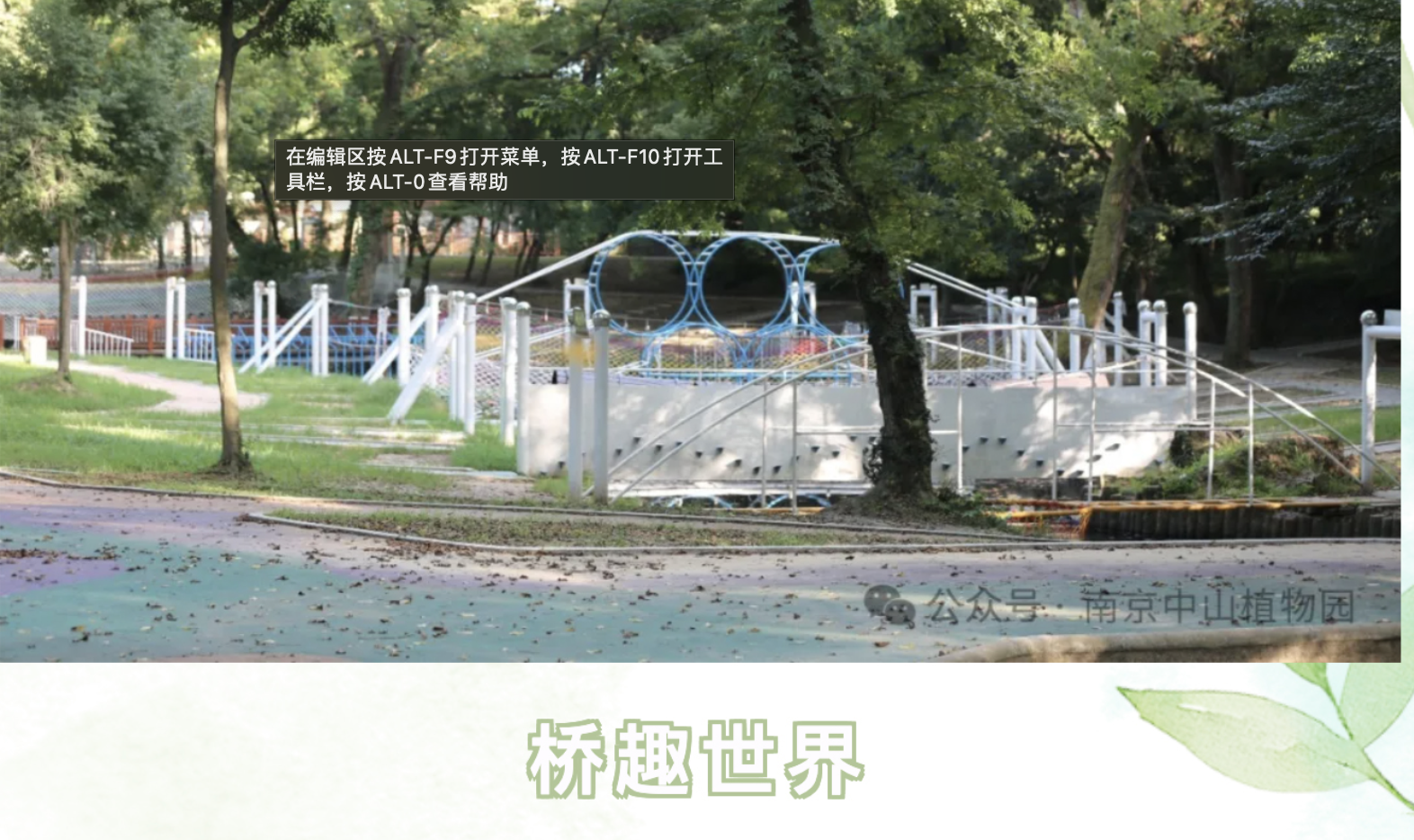 夏日乐园 桥世界