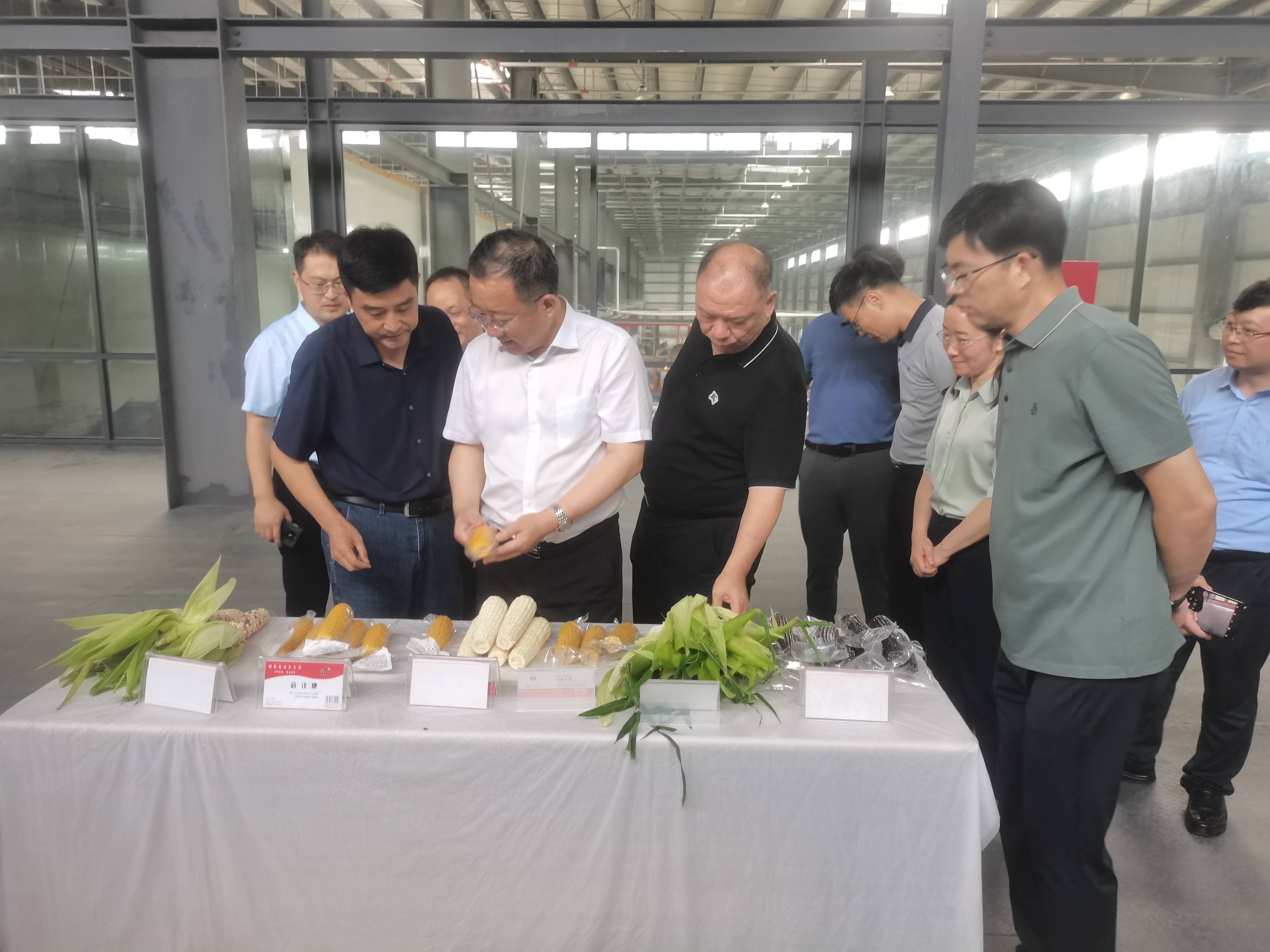 签约仪式-4.jpg 签约仪式-4.jpg