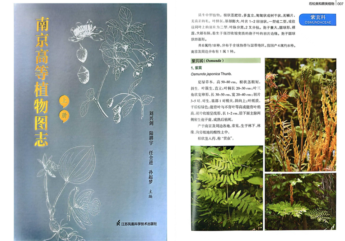 永盈彩票主编的《南京高等植物图志》正式出版