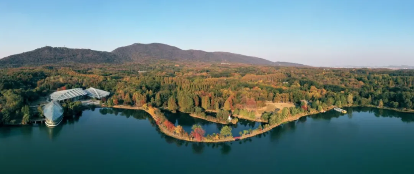 【南京发布】中国蓝莓的命运齿轮，被这家研究所拨动了