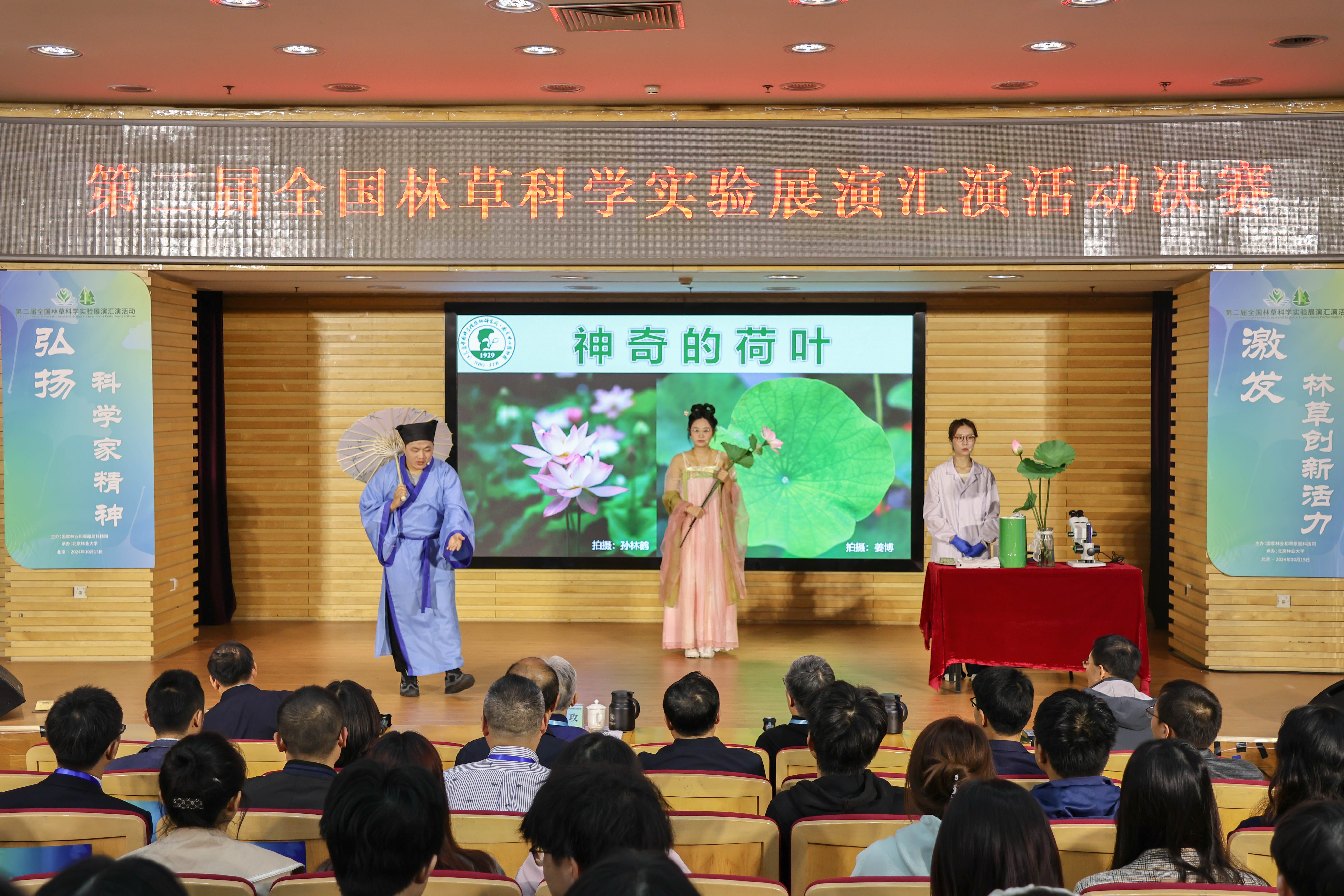 《神奇的荷叶》展演照片