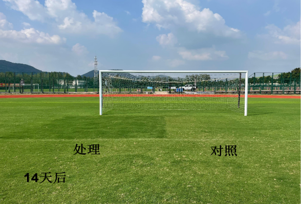 永盈彩票科研团队提出改善土壤板结问题新方法