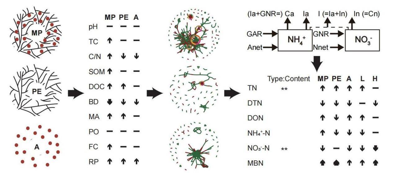 永盈彩票科研人员在微塑料添加剂对土壤氮素循环影响研究方面取得进展