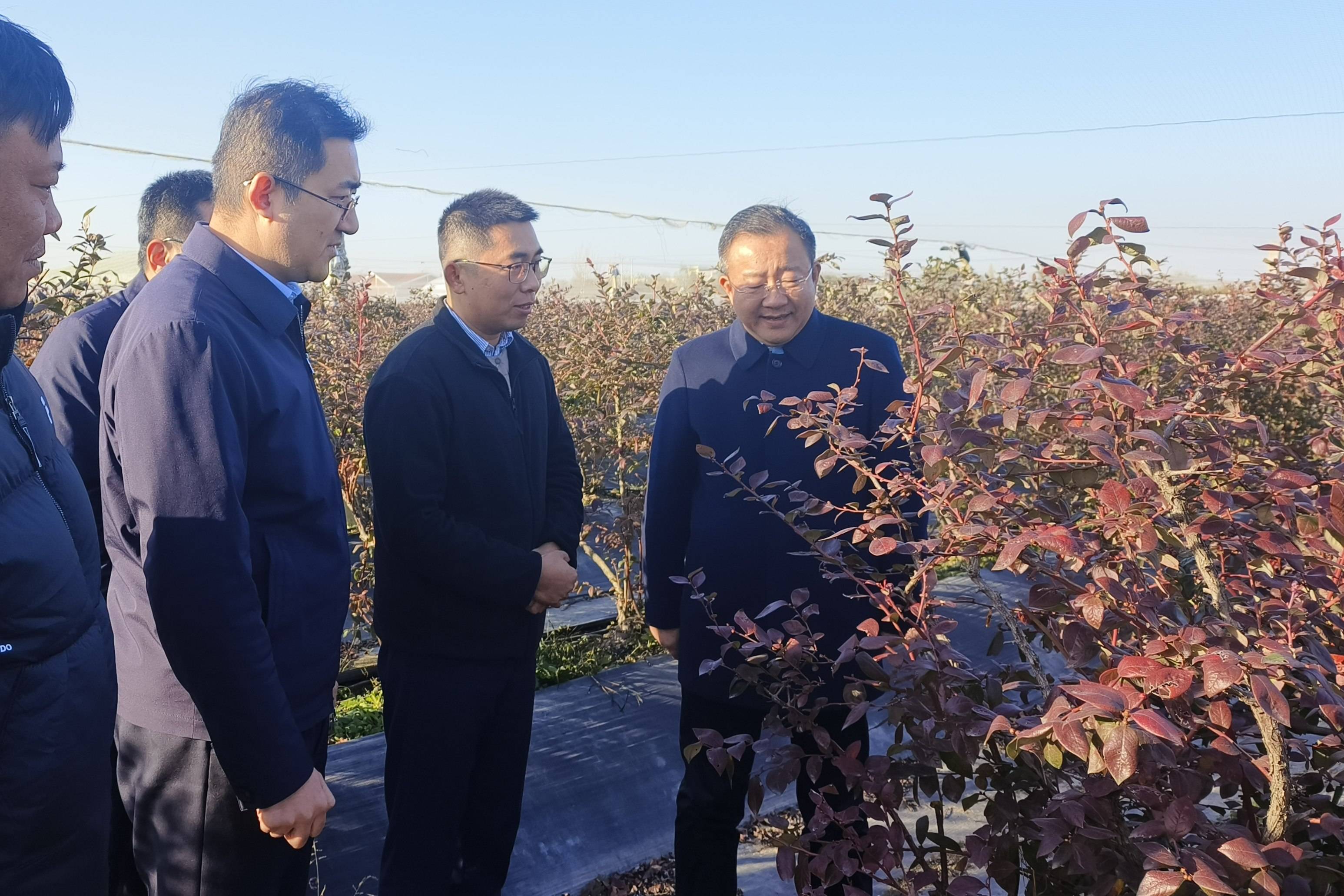 永盈彩票领导赴新沂市调研并看望挂职干部