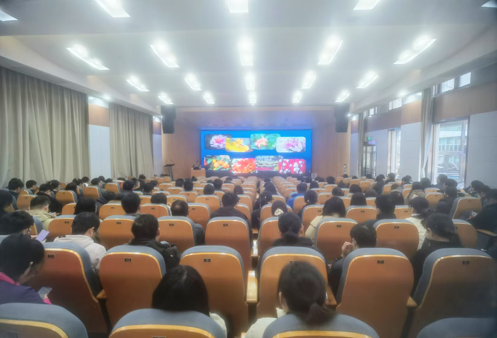 永盈彩票科普专家应邀赴南京环科所作植物与生态文明建设主题的科普报告