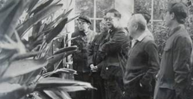 国务院副总理李鹏