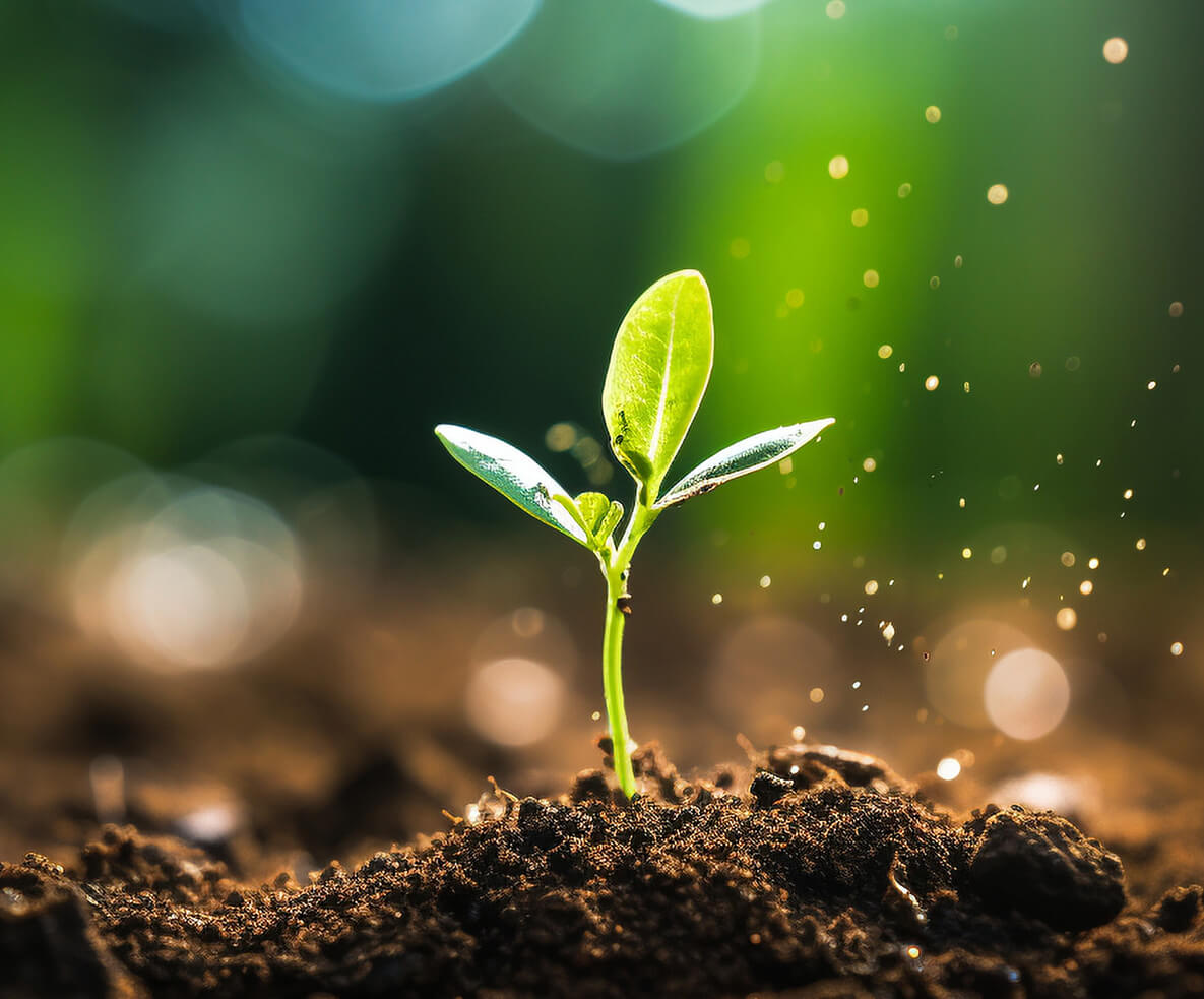 《今日科学》 种子系列（二）