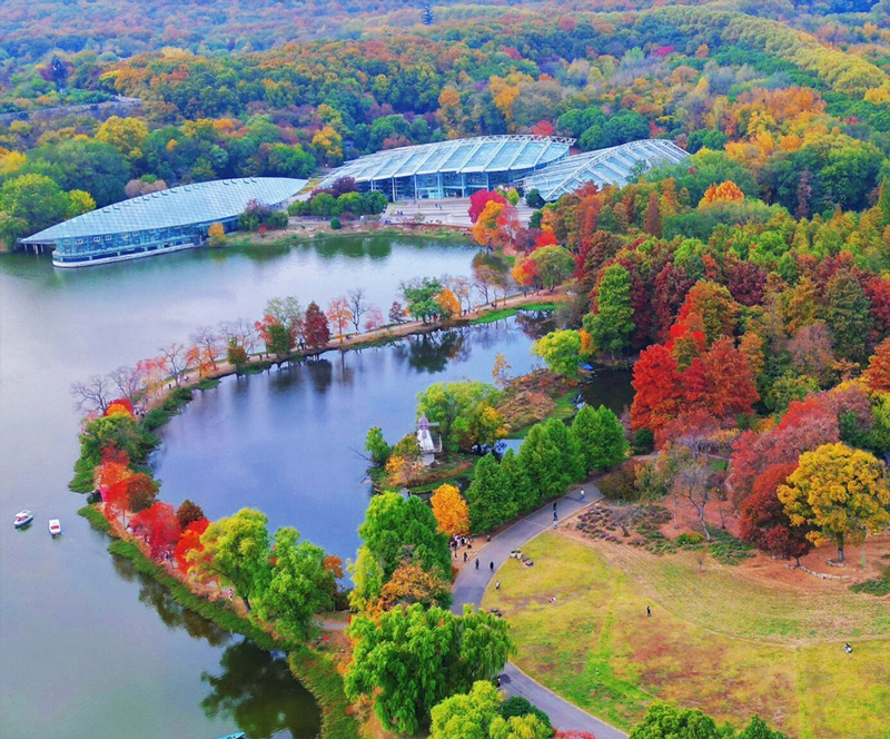 永盈彩票百花盛开