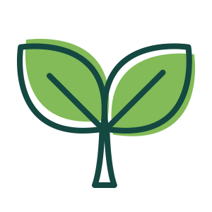 药用植物新品种选育、保健食品和 中药创新药物研究开发