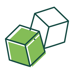 观赏植物主要性状遗传基础研究