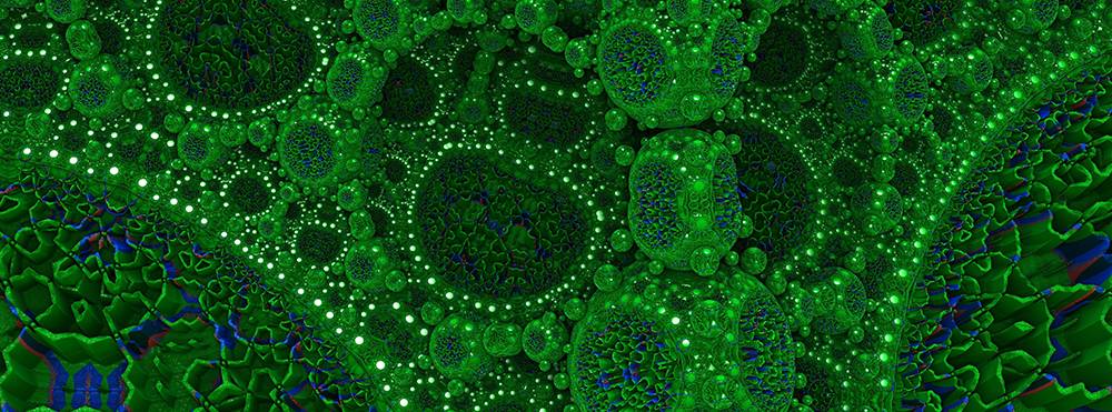 药用植物研究中心