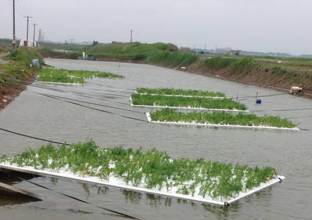 「获奖」江苏省科学技术奖二等奖（2018年）