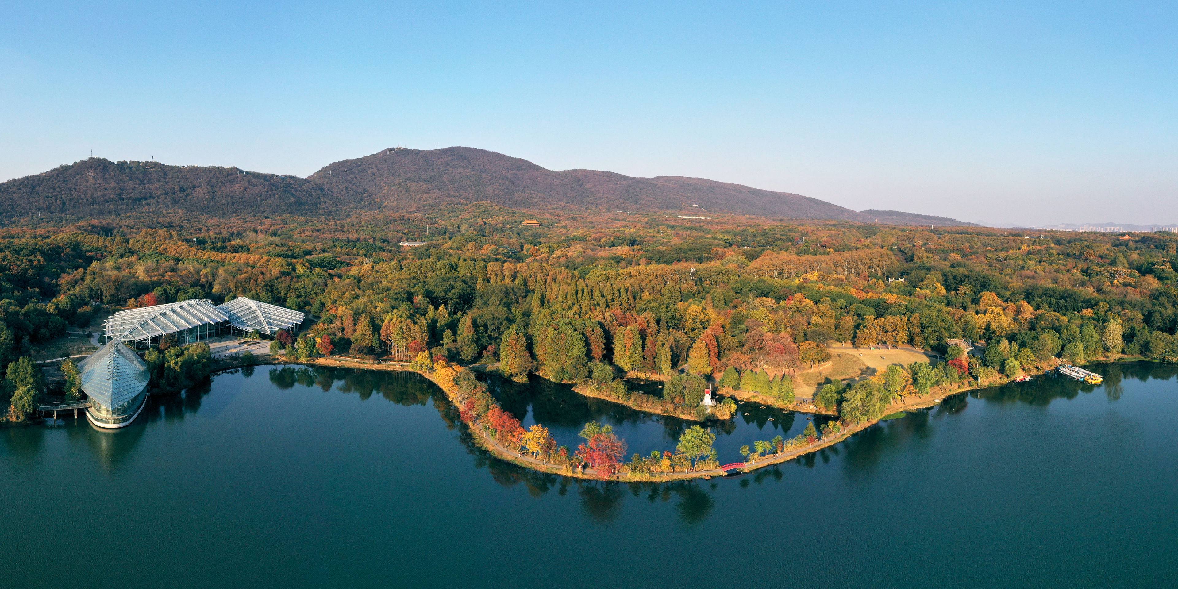 中国蓝莓的命运齿轮，被这家研究所拨动了