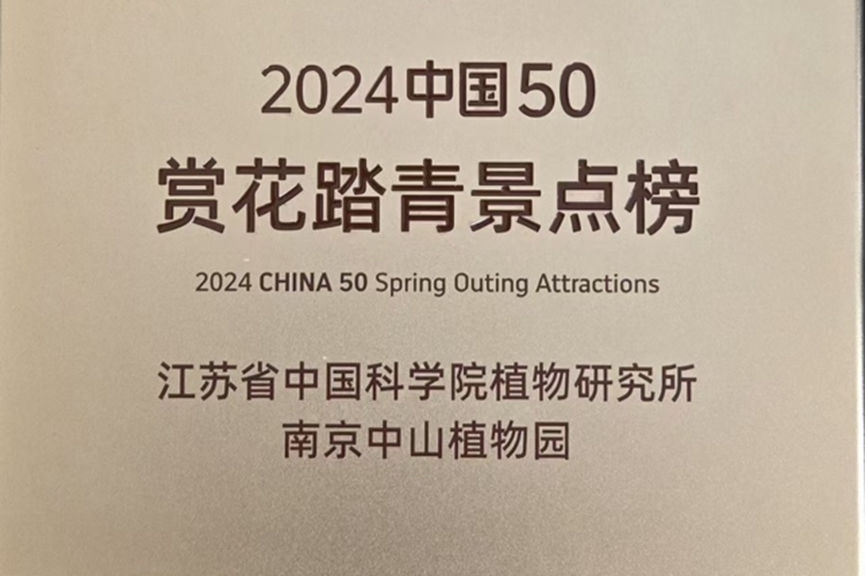 永盈彩票荣登2024携程口碑榜